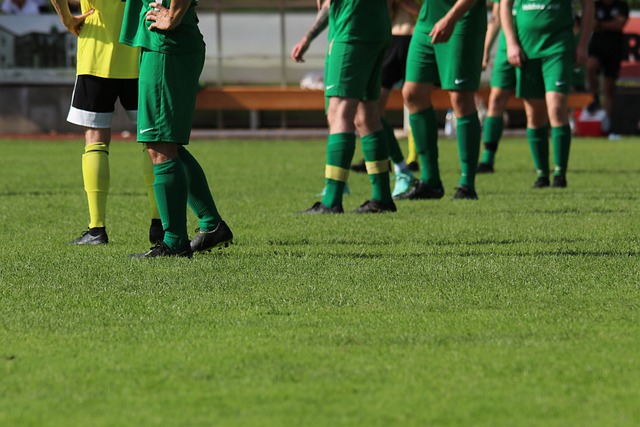 以此提升整 以此提升整