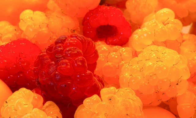 国家的支持 国家的支持