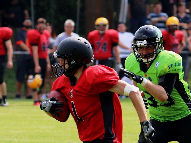 集体努力的 集体努力的