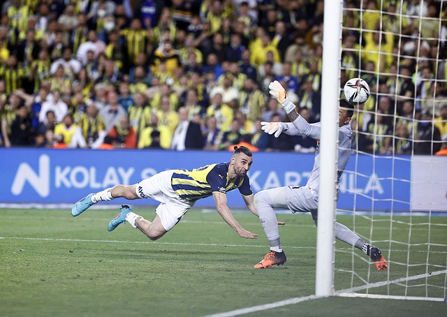 在中国的逐 在中国的逐