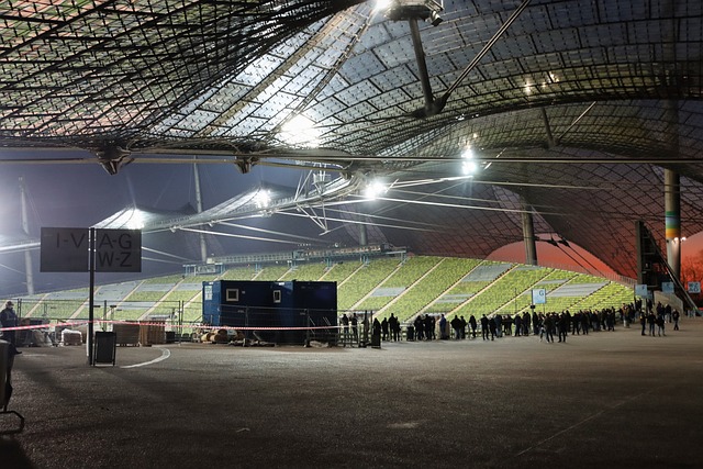 新的活力 新的活力