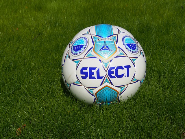 对此表示赞 对此表示赞