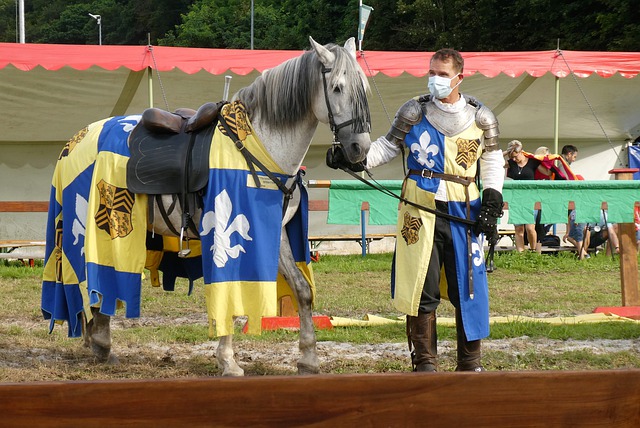 中国展现了 中国展现了