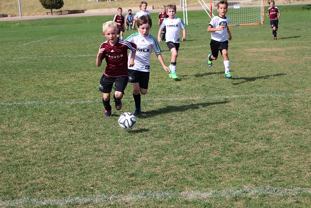 久保健英的 久保健英的