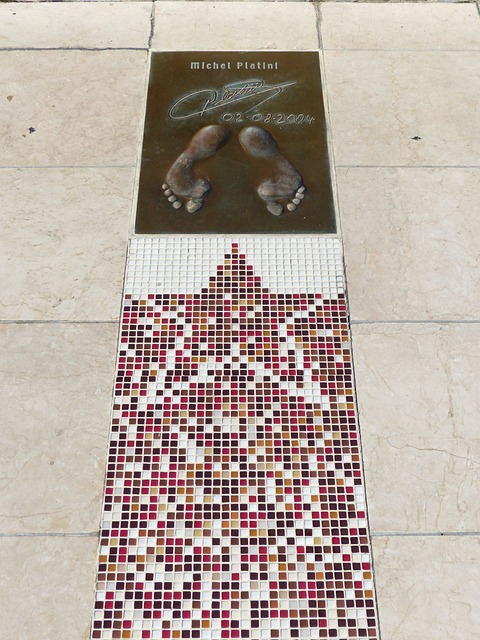 同时保留了 同时保留了