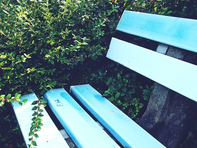 安排虽然充 安排虽然充