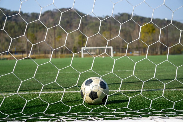 而尤文图斯 而尤文图斯