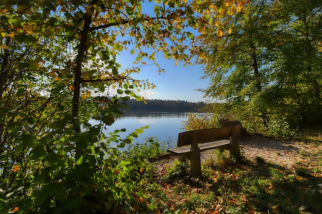 [冰雪]四川一队晋级混双项目决赛.
