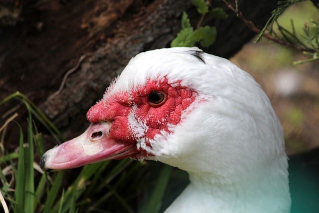 伍的潜力和 伍的潜力和