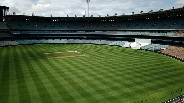 们心怀期待 们心怀期待