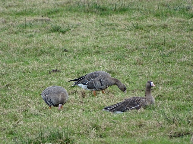 赛的残酷竞 赛的残酷竞