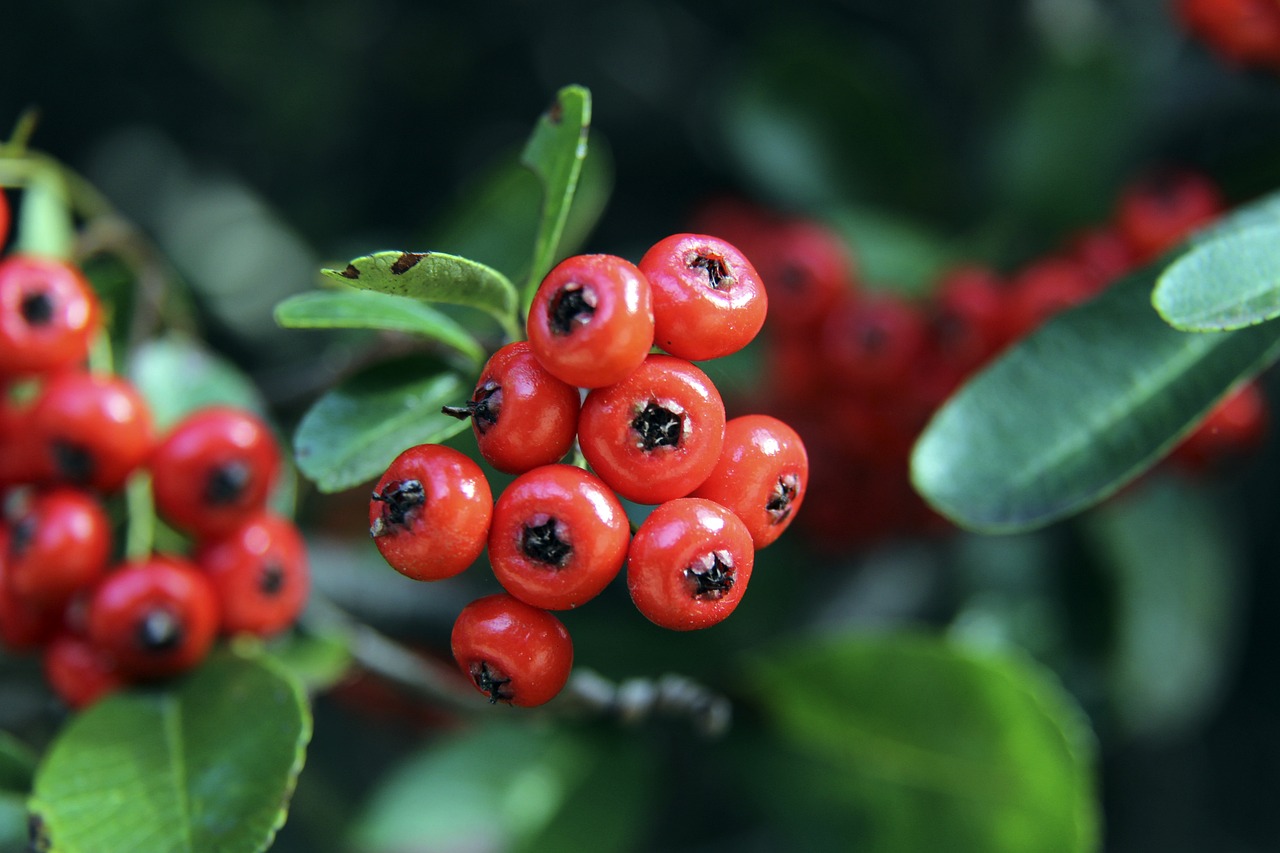 子接力增添 子接力增添